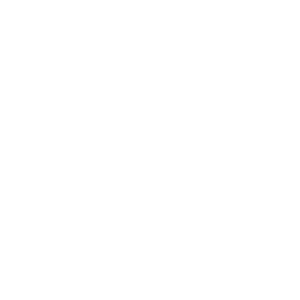 Client Logo: Everlast Finishes