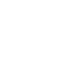 Client Logo: Paradise Lights LLC